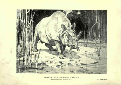 Reproducción/Reproduction 7724877278: Evolution in the past /. London :Herbert and Daniel,1912.
