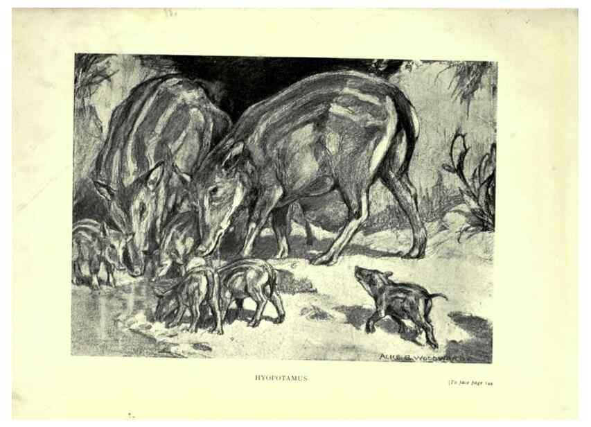 Reproducción/Reproduction 7724878844: Evolution in the past /. London :Herbert and Daniel,1912.
