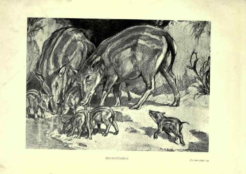 Reproducción/Reproduction 7724878844: Evolution in the past /. London :Herbert and Daniel,1912.