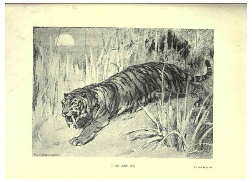 Reproducción/Reproduction 7724881052: Evolution in the past /. London :Herbert and Daniel,1912.