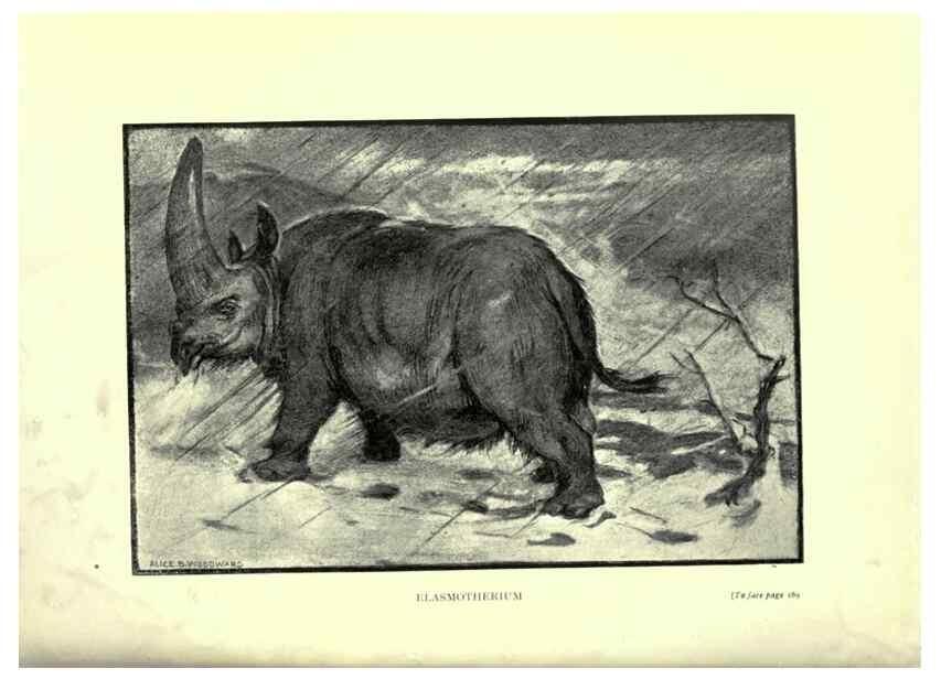 Reproducción/Reproduction 7724887188: Evolution in the past /. London :Herbert and Daniel,1912.