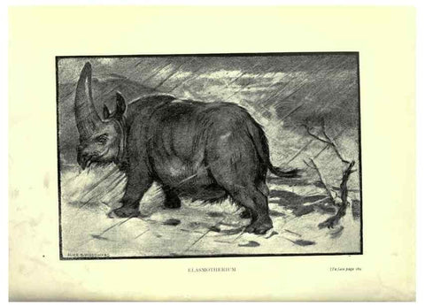 Reproducción/Reproduction 7724887188: Evolution in the past /. London :Herbert and Daniel,1912.