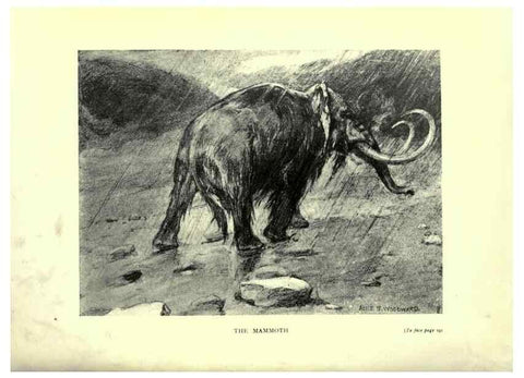 Reproducción/Reproduction 7724887936: Evolution in the past /. London :Herbert and Daniel,1912.