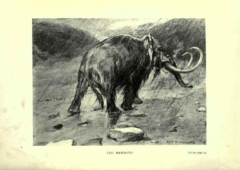 Reproducción/Reproduction 7724887936: Evolution in the past /. London :Herbert and Daniel,1912.