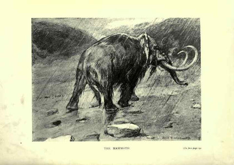 Reproducción/Reproduction 7724887936: Evolution in the past /. London :Herbert and Daniel,1912.