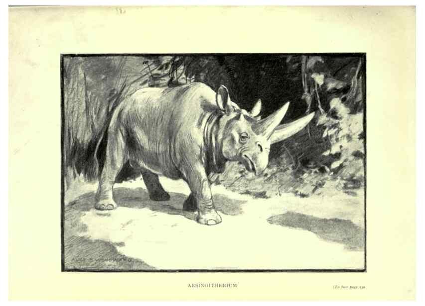 Reproducción/Reproduction 7724876494: Evolution in the past /. London :Herbert and Daniel,1912.
