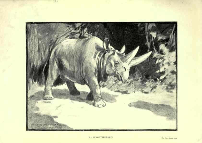Reproducción/Reproduction 7724876494: Evolution in the past /. London :Herbert and Daniel,1912.