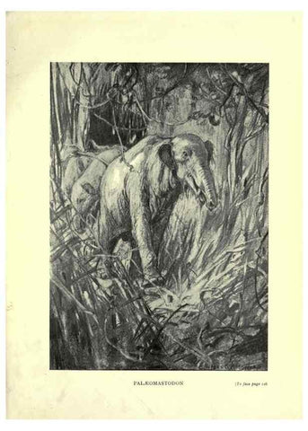 Reproducción/Reproduction 7724875814: Evolution in the past /. London :Herbert and Daniel,1912.
