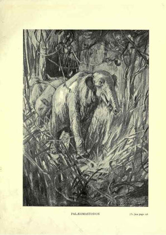 Reproducción/Reproduction 7724875814: Evolution in the past /. London :Herbert and Daniel,1912.
