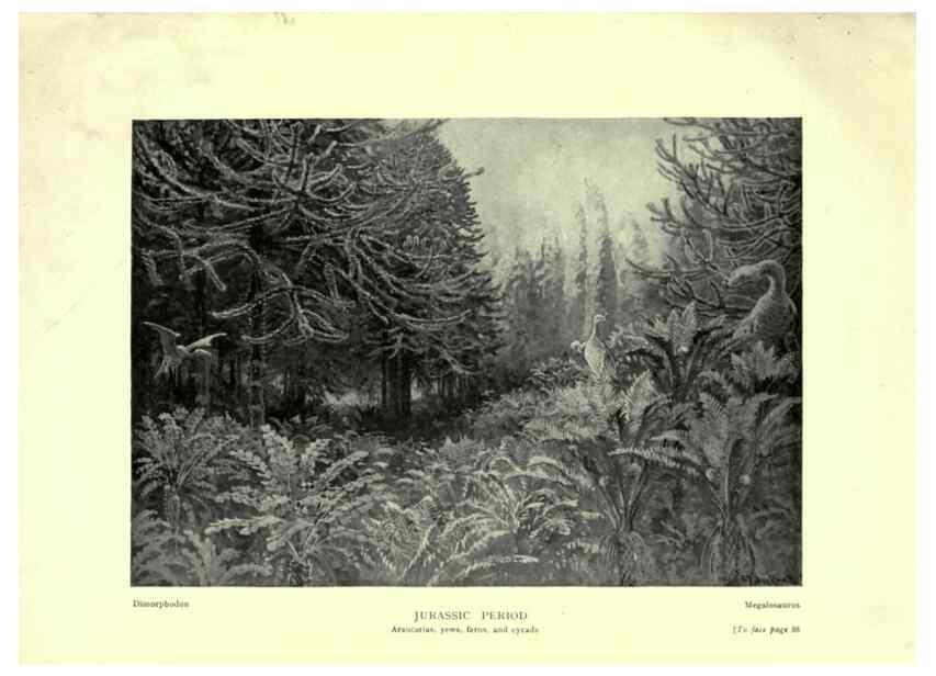 Reproducción/Reproduction 7724862070: Evolution in the past /. London :Herbert and Daniel,1912.