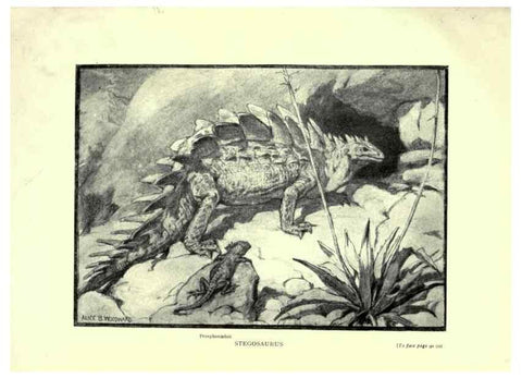 Reproducción/Reproduction 7724863356: Evolution in the past /. London :Herbert and Daniel,1912.