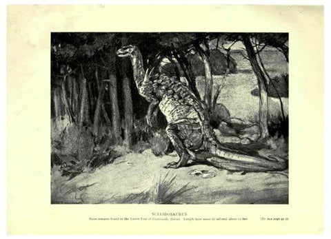 Reproducción/Reproduction 7724864018: Evolution in the past /. London :Herbert and Daniel,1912.