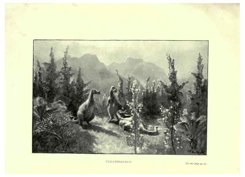 Reproducción/Reproduction 7724864674: Evolution in the past /. London :Herbert and Daniel,1912.