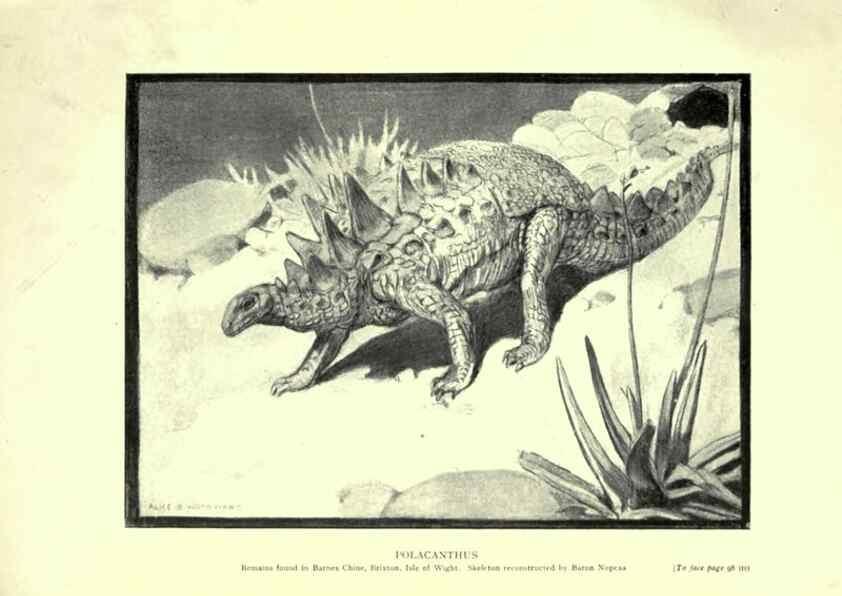 Reproducción/Reproduction 7724869102: Evolution in the past /. London :Herbert and Daniel,1912.