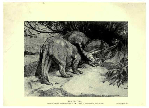 Reproducción/Reproduction 7724869838: Evolution in the past /. London :Herbert and Daniel,1912.