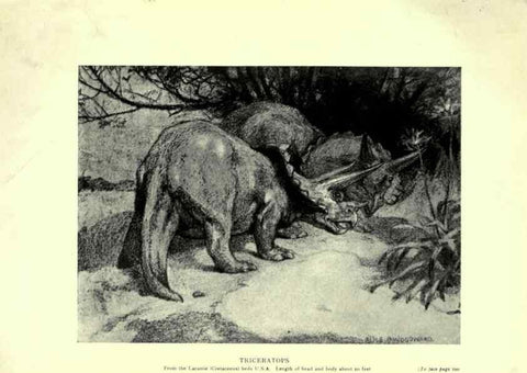Reproducción/Reproduction 7724869838: Evolution in the past /. London :Herbert and Daniel,1912.