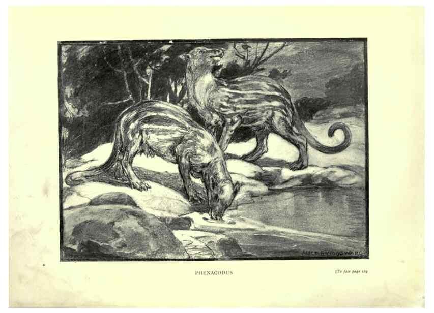 Reproducción/Reproduction 7724872972: Evolution in the past /. London :Herbert and Daniel,1912.