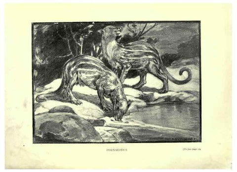 Reproducción/Reproduction 7724872972: Evolution in the past /. London :Herbert and Daniel,1912.