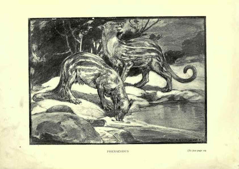 Reproducción/Reproduction 7724872972: Evolution in the past /. London :Herbert and Daniel,1912.
