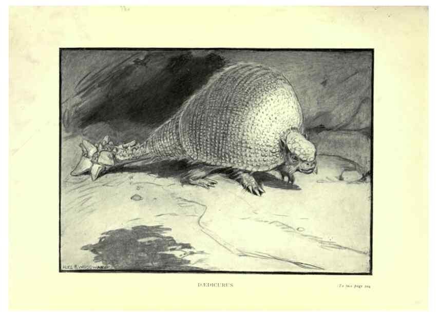 Reproducción/Reproduction 7724889970: Evolution in the past /. London :Herbert and Daniel,1912.