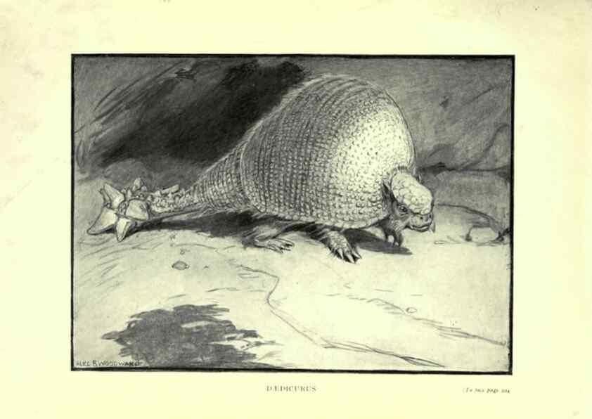 Reproducción/Reproduction 7724889970: Evolution in the past /. London :Herbert and Daniel,1912.