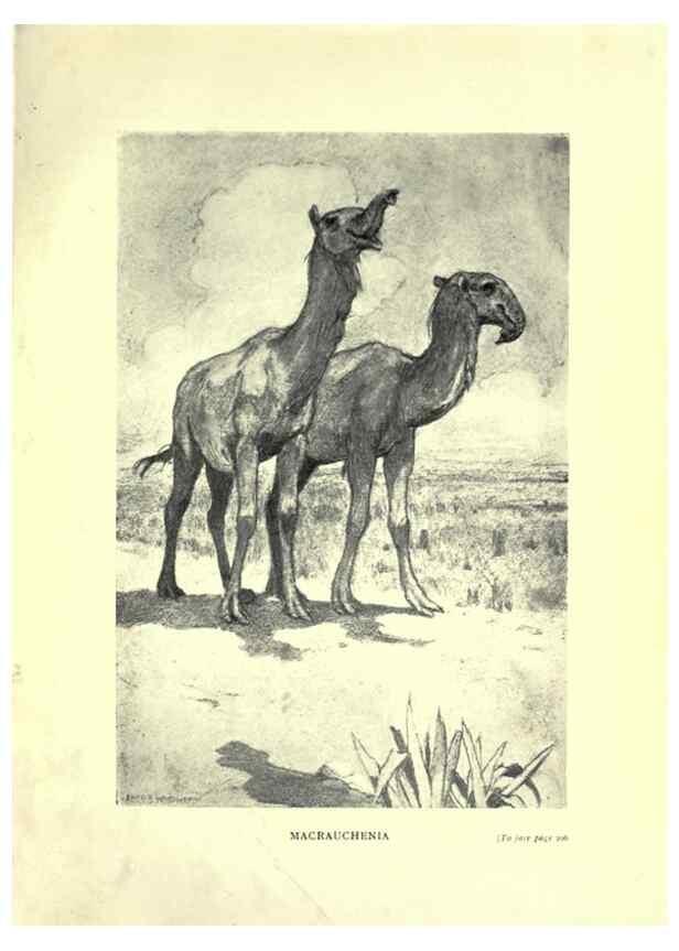 Reproducción/Reproduction 7724890638: Evolution in the past /. London :Herbert and Daniel,1912.