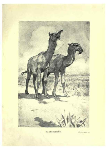 Reproducción/Reproduction 7724890638: Evolution in the past /. London :Herbert and Daniel,1912.