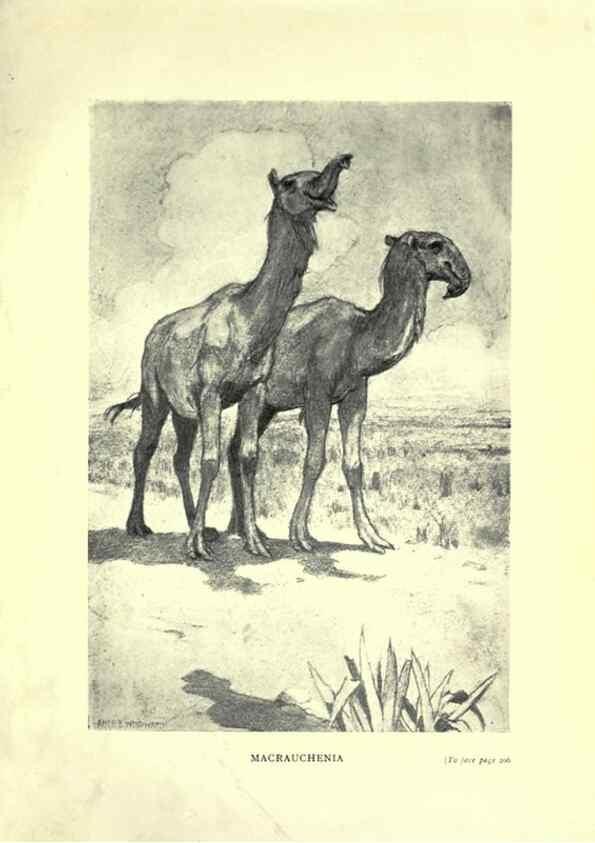 Reproducción/Reproduction 7724890638: Evolution in the past /. London :Herbert and Daniel,1912.
