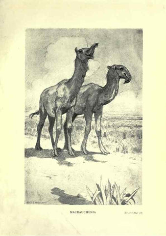 Reproducción/Reproduction 7724890638: Evolution in the past /. London :Herbert and Daniel,1912.
