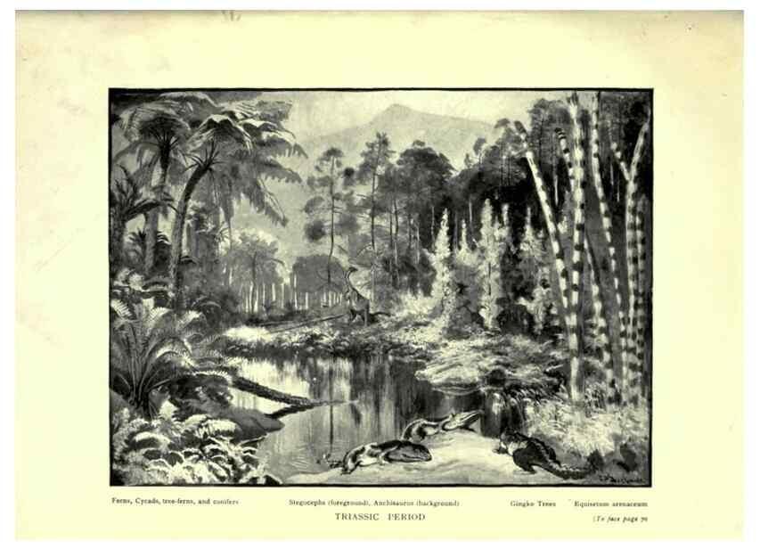 Reproducción/Reproduction 7724859992: Evolution in the past /. London :Herbert and Daniel,1912.
