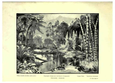 Reproducción/Reproduction 7724859992: Evolution in the past /. London :Herbert and Daniel,1912.