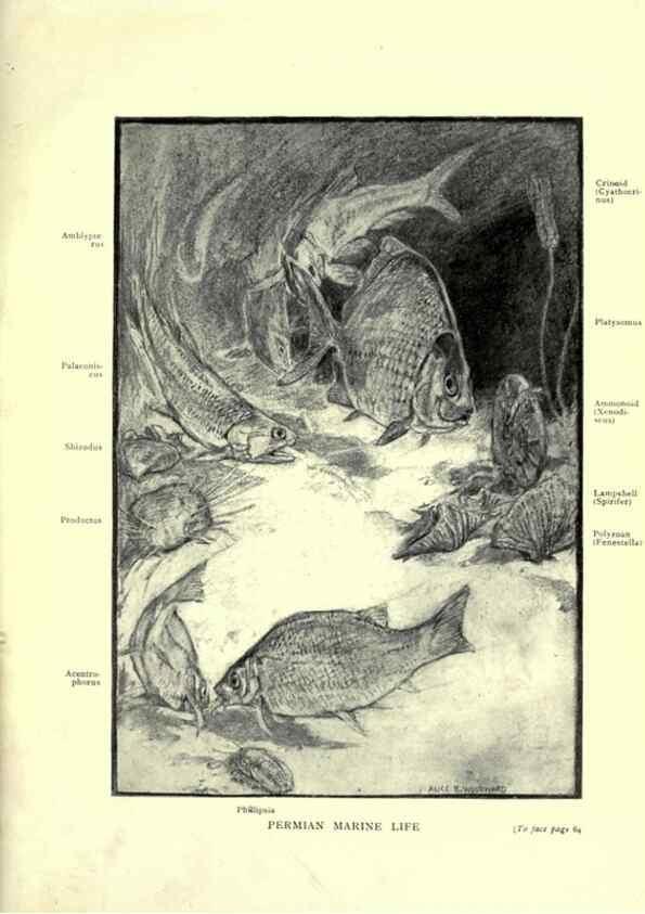 Reproducción/Reproduction 7724859294: Evolution in the past /. London :Herbert and Daniel,1912.