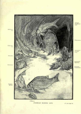 Reproducción/Reproduction 7724859294: Evolution in the past /. London :Herbert and Daniel,1912.
