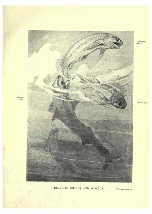 Reproducción/Reproduction 7724855670: Evolution in the past /. London :Herbert and Daniel,1912.