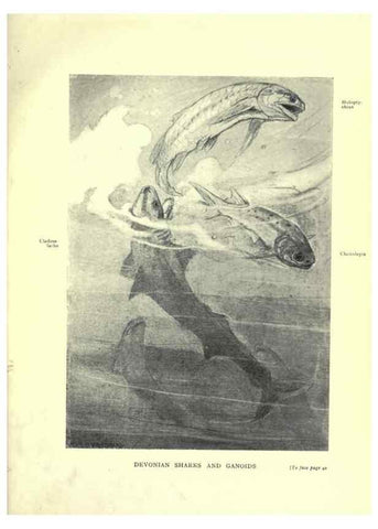 Reproducción/Reproduction 7724855670: Evolution in the past /. London :Herbert and Daniel,1912.