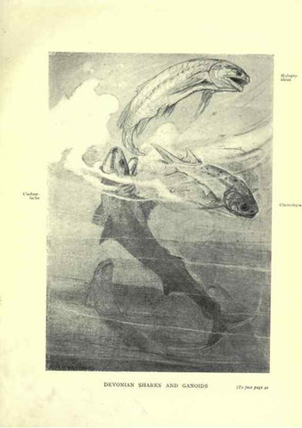 Reproducción/Reproduction 7724855670: Evolution in the past /. London :Herbert and Daniel,1912.