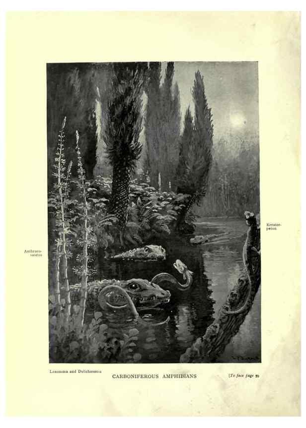 Reproducción/Reproduction 7724857080: Evolution in the past /. London :Herbert and Daniel,1912.