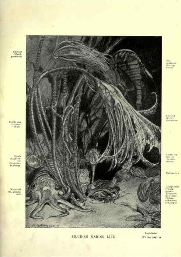 Reproducción/Reproduction 7724853388: Evolution in the past /. London :Herbert and Daniel,1912.
