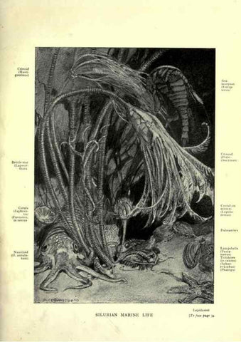 Reproducción/Reproduction 7724853388: Evolution in the past /. London :Herbert and Daniel,1912.