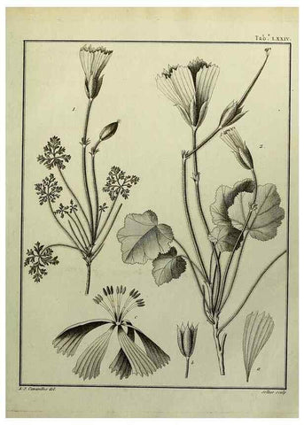 Reproducción/Reproduction 8187785389: Monadelphiae classis dissertationes decem.. Parisiis,Apud F.A. Didot,1785-1790.
