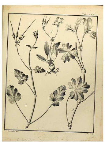 Reproducción/Reproduction 8187816541: Monadelphiae classis dissertationes decem.. Parisiis,Apud F.A. Didot,1785-1790.