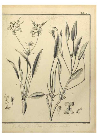 Reproducción/Reproduction 8187804475: Monadelphiae classis dissertationes decem.. Parisiis,Apud F.A. Didot,1785-1790.