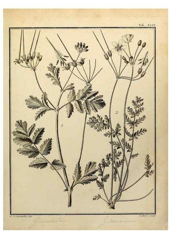 Reproducción/Reproduction 8187798985: Monadelphiae classis dissertationes decem.. Parisiis,Apud F.A. Didot,1785-1790.