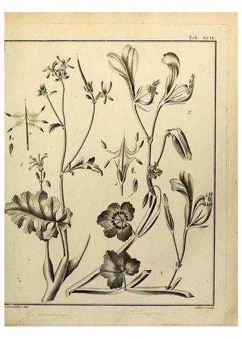 Reproducción/Reproduction 8188882908: Monadelphiae classis dissertationes decem.. Parisiis,Apud F.A. Didot,1785-1790.