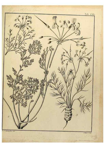 Reproducción/Reproduction 8187818219: Monadelphiae classis dissertationes decem.. Parisiis,Apud F.A. Didot,1785-1790.