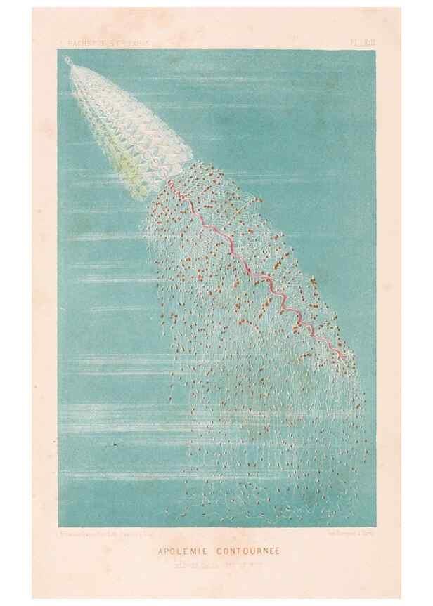 Reproducción/Reproduction 8203817670: Le monde de la mer .... Paris,L. Hachette & Cie,1866.