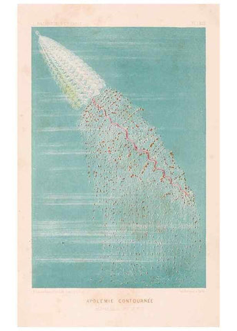 Reproducción/Reproduction 8203817670: Le monde de la mer .... Paris,L. Hachette & Cie,1866.