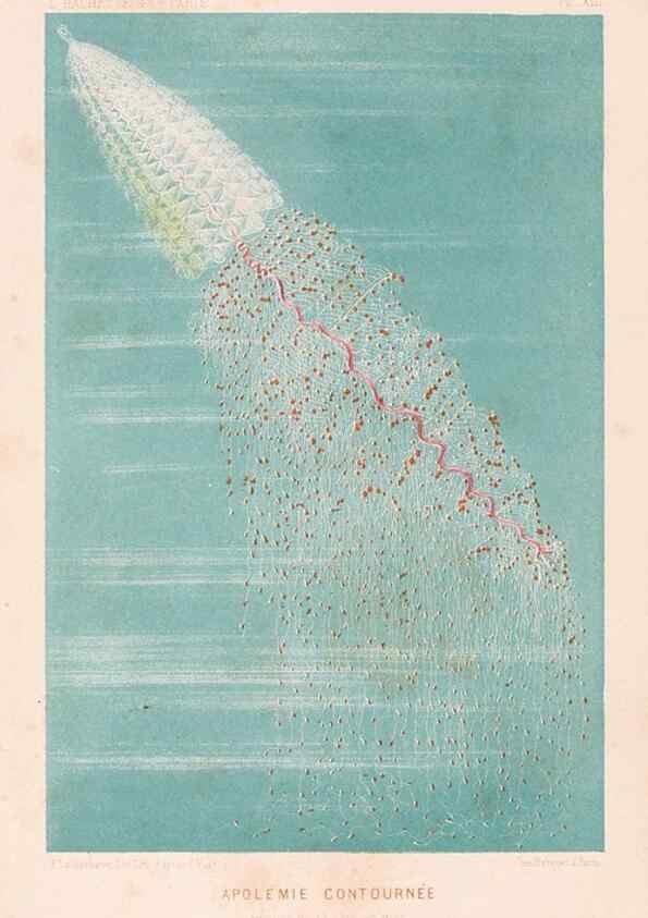Reproducción/Reproduction 8203817670: Le monde de la mer .... Paris,L. Hachette & Cie,1866.