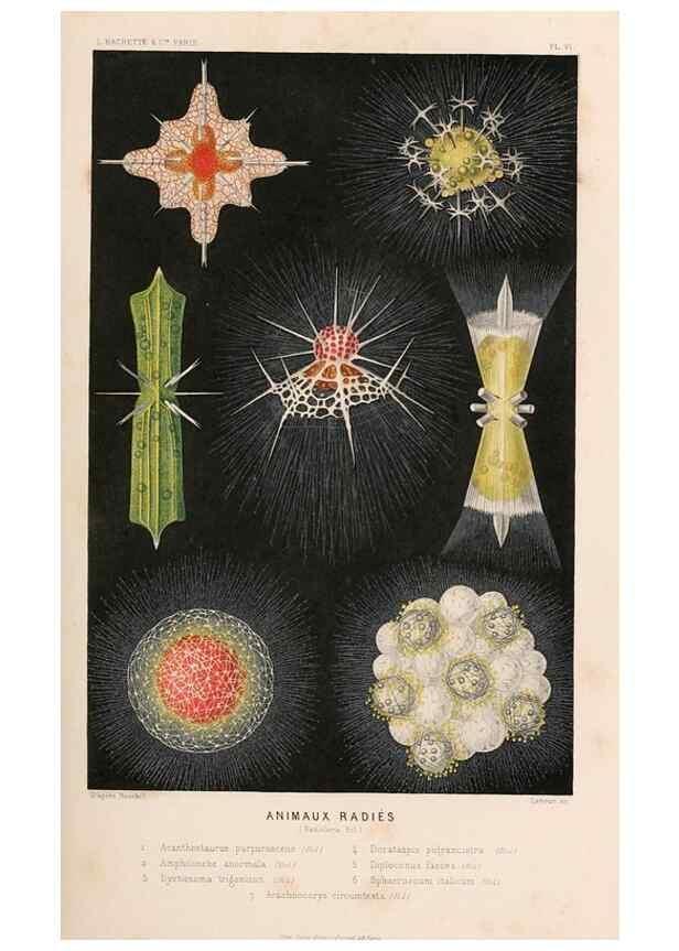 Reproducción/Reproduction 8203822042: Le monde de la mer .... Paris,L. Hachette & Cie,1866.