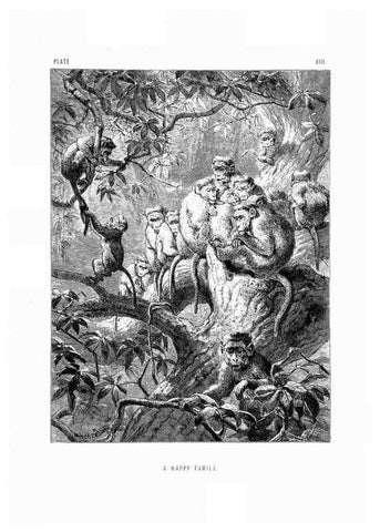 Reproducción/Reproduction 8200282156: The life and habits of wild animals,. London,A. Macmillan,1874.